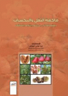 صورة الغلاف المحلية