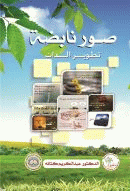 صورة الغلاف المحلية